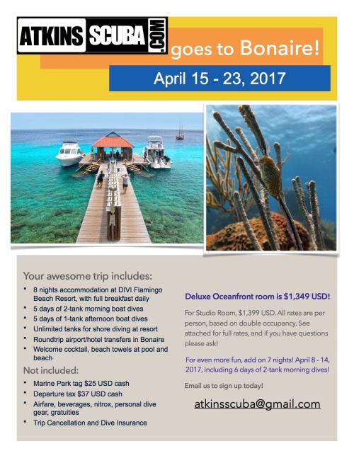 Bonaire Trip Flyer v3